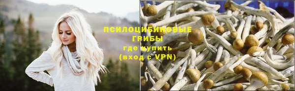 соль ск Инта
